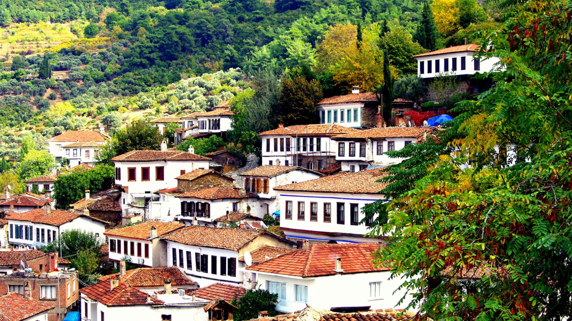 Ephesus Private Guided Customized Tour - 8